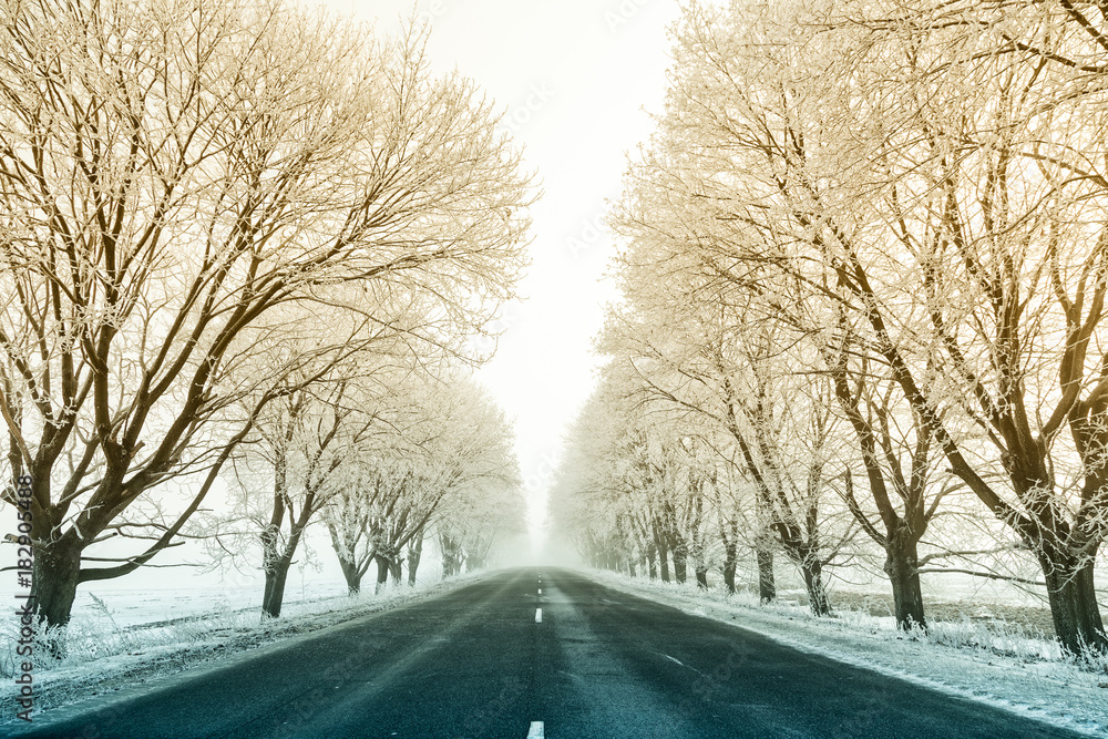 winter landscape with asphalt road and icy trees.. winter landscape with asphalt road and icy trees..