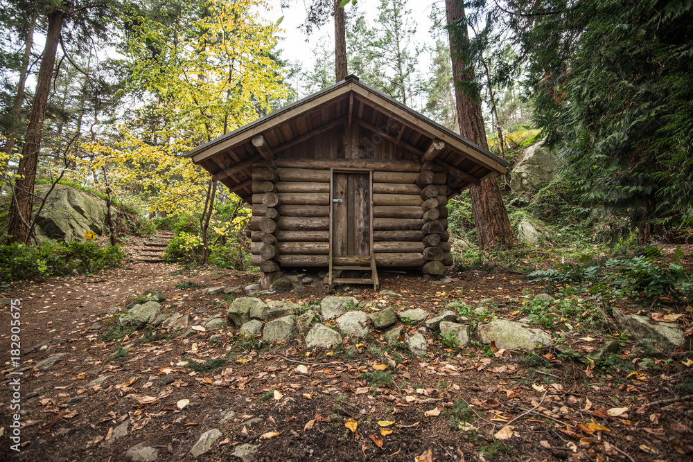 Cabin, wood house in the forest Vancouver