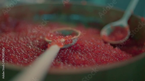 Red caviar dripping from a traditional wooden spoon. Macro food in slow motion, photo