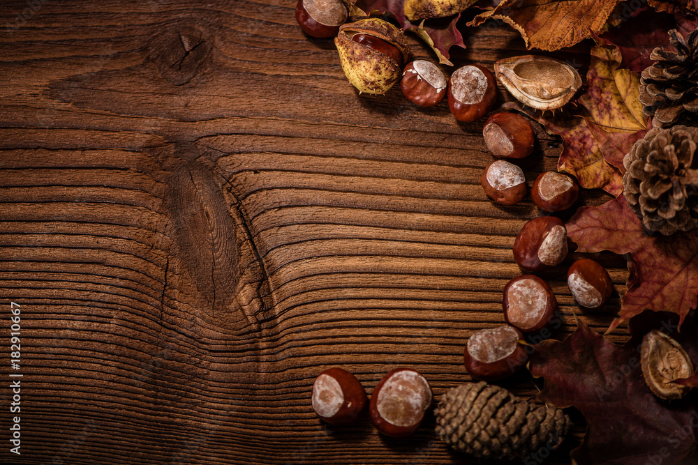 chestnuts on a old wood background chestnuts on a old wood background