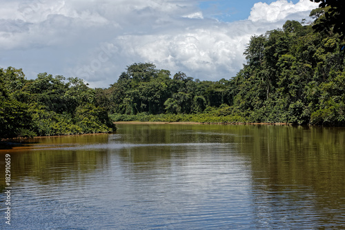 La rivi  re Comt   vue des rives du bourg hmong de Cacao  commune de Roura en Guyane fran  aise