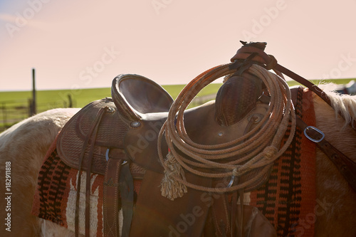 Lasso draped around the pommel of a saddle