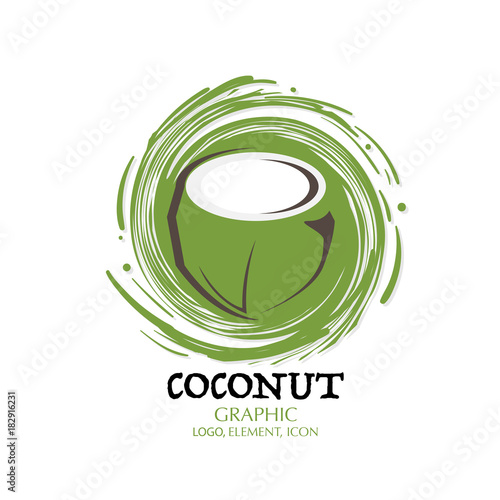 fruit coconut graphic element design logo key visual water splash background