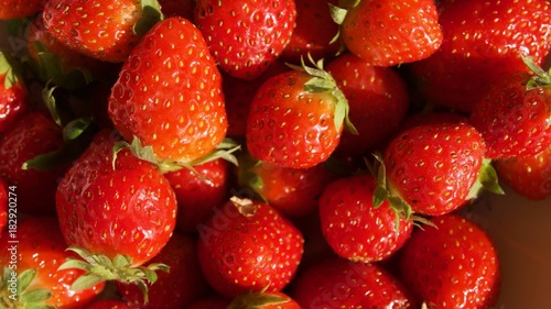 Fraises Mara des Bois du Périgord en France