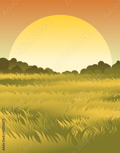 grass nature scene