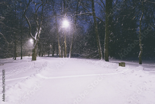 Winter park at night. Snow in a frozen dark park with snowflakes. Snowfall at night. Snow storm