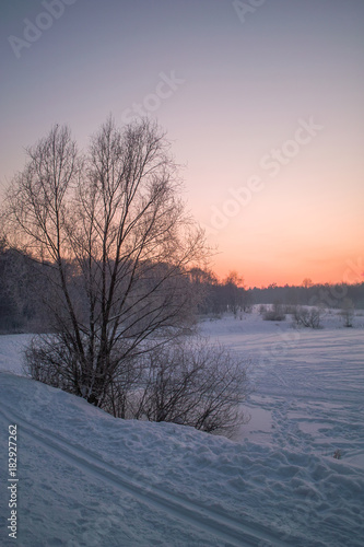 Winter sunset on the frozen lake in park