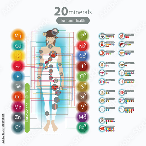 Human health and minerals