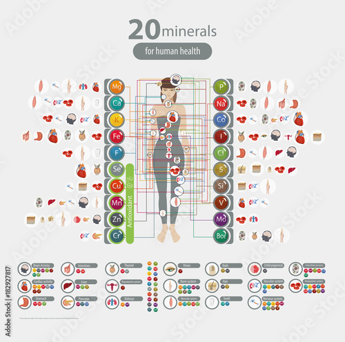 Human health and minerals