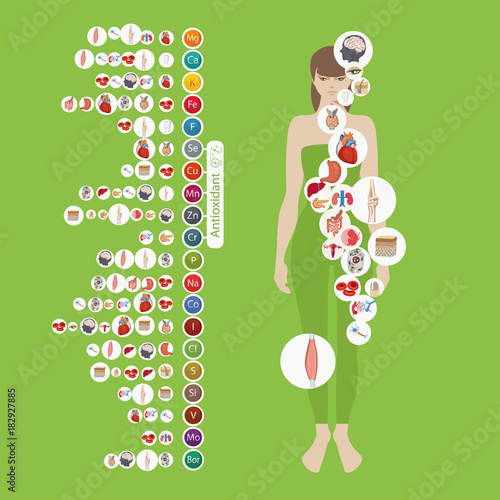 Human health and minerals