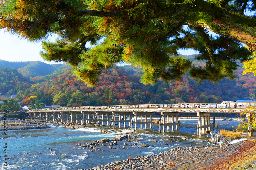 View of Katsura river during autumn in Arashiyama district, Kyoto, Japan.
