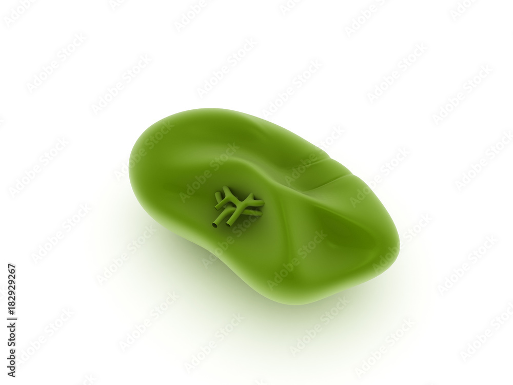 3d rendered human spleen isolated on white background 3d rendered human spleen isolated on white background
