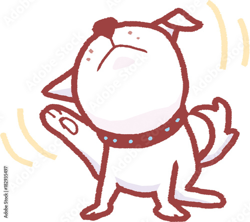 体をかく子犬