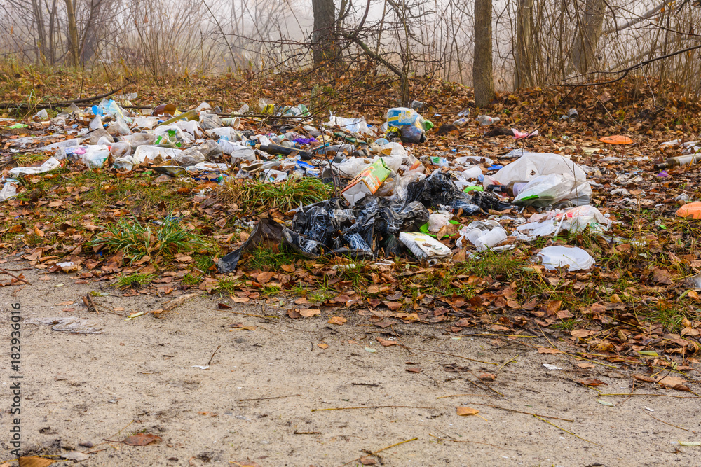 Obraz premium Different garbage on a ground in forest