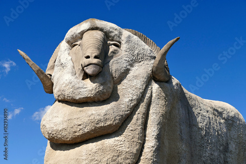 Statue of a Giant Merino Ram or Sheep