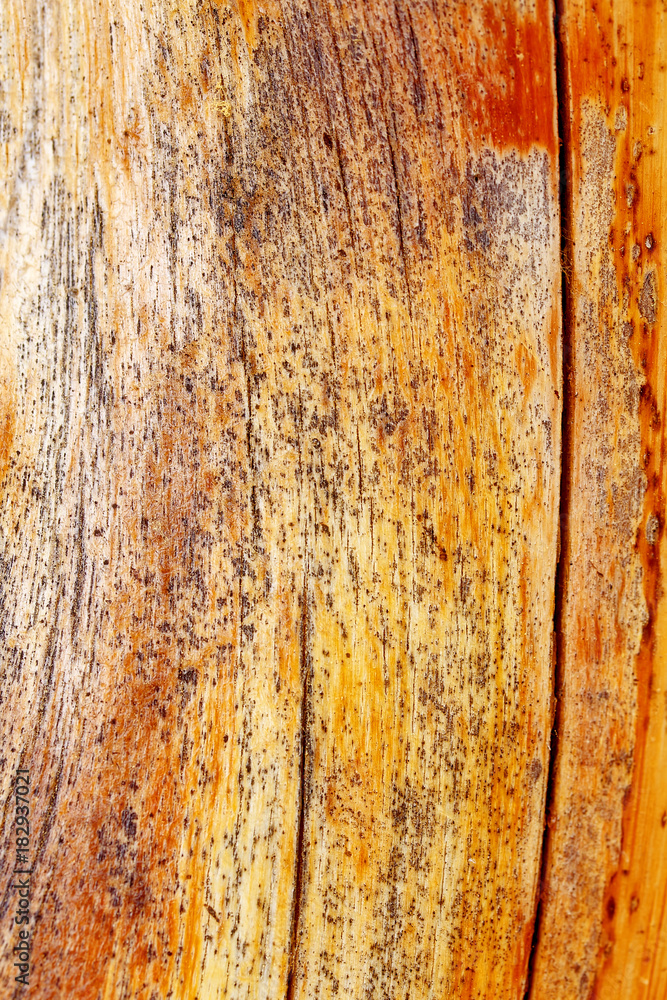 Wooden detailed structural pattern. Brown color background. Wooden detailed structural pattern. Brown color background.
