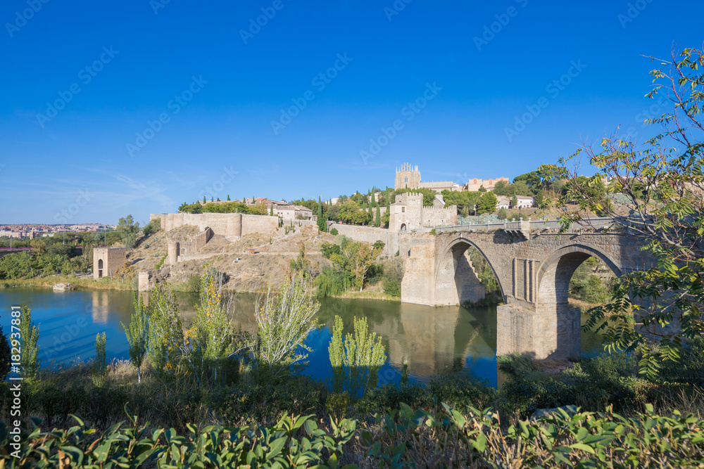 landscape St Martin medieval bridge, with green plants, water river Tagus or Tajo, landmark and monument from nineteenth century, in Toledo city, Spain, Europe
