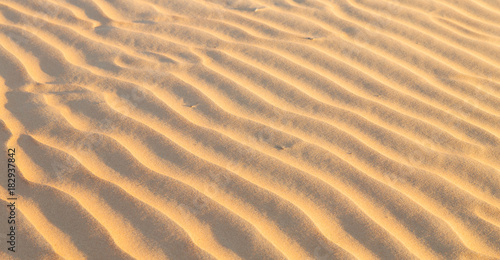 in oman the old desert and the empty quarter abstract  texture line wave © lkpro