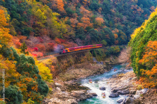 beautiful mountain view in autumn season with sagano scenic railway or romantic train on bridge and boat in the river in Arashiyama, Kyoyo, Japan, sotf focus photo