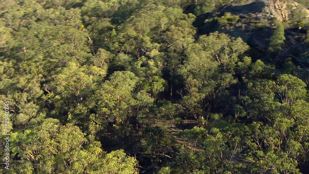 A birds eye view shot of mountains and trees. Camera moves forward