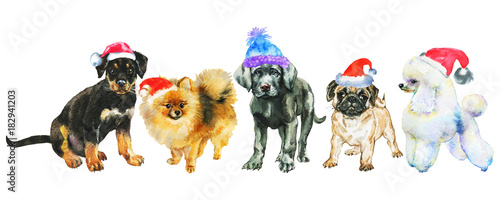 Photography Watercolor dogs in Christmas hats