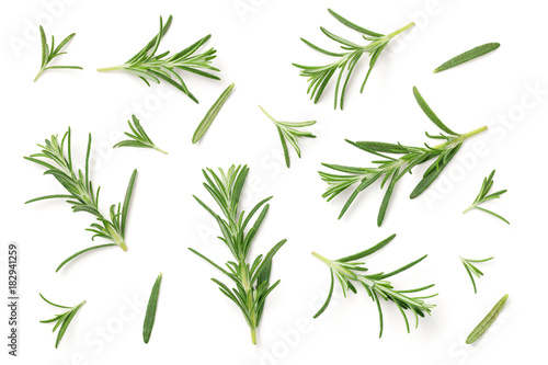 Murais de parede Rosemary Isolated on White Background
