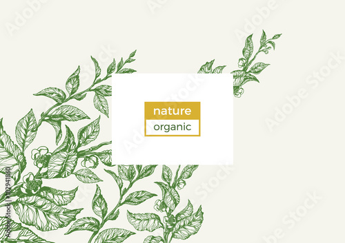 Vector nature template. Vintage floral illustration