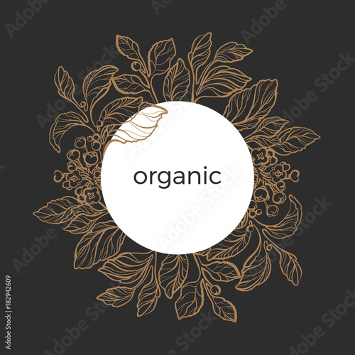 Template of mate branches with leaves, berry and flowers. Vector