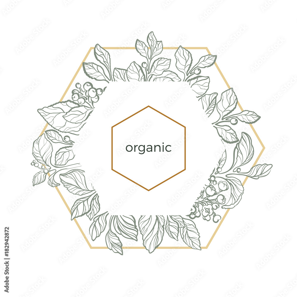 Vector template of set mate branches in sexangle on white background.