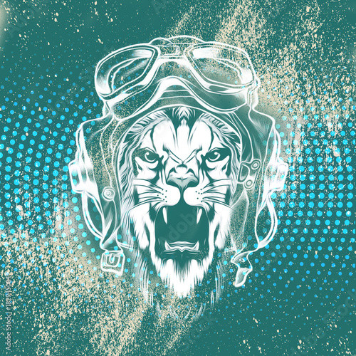 тигр в шапке пилота