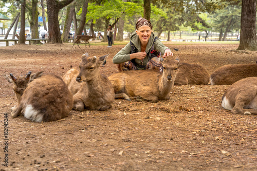 Sitting smiling woman surrounded by hungry Nara deer in Nara Japanese park. Unesco Heritage town of Japan. © bennymarty