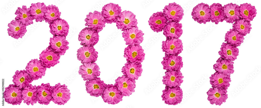 Numeral 2017 from flower of chrysanthemum, isolated on white background Numeral 2017 from flower of chrysanthemum, isolated on white background