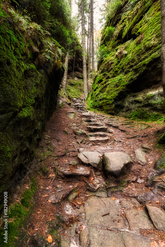 Old stairs in the forest near Kamnitzleiten photo