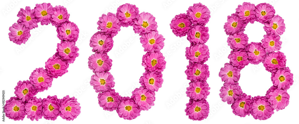 Numeral 2018 from flower of chrysanthemum, isolated on white background Numeral 2018 from flower of chrysanthemum, isolated on white background