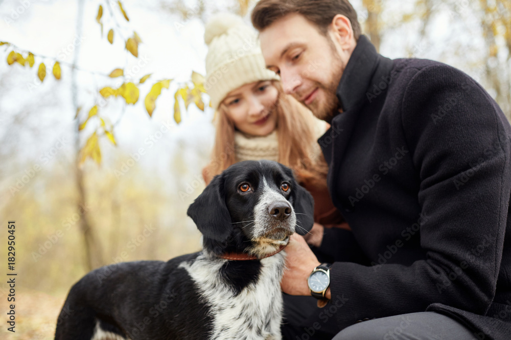 Couple walking with dog in the Park and hugging. Autumn walk men and women with a dog. Romance and love on an autumn landscape Couple walking with dog in the Park and hugging. Autumn walk men and women with a dog. Romance and love on an autumn landscape