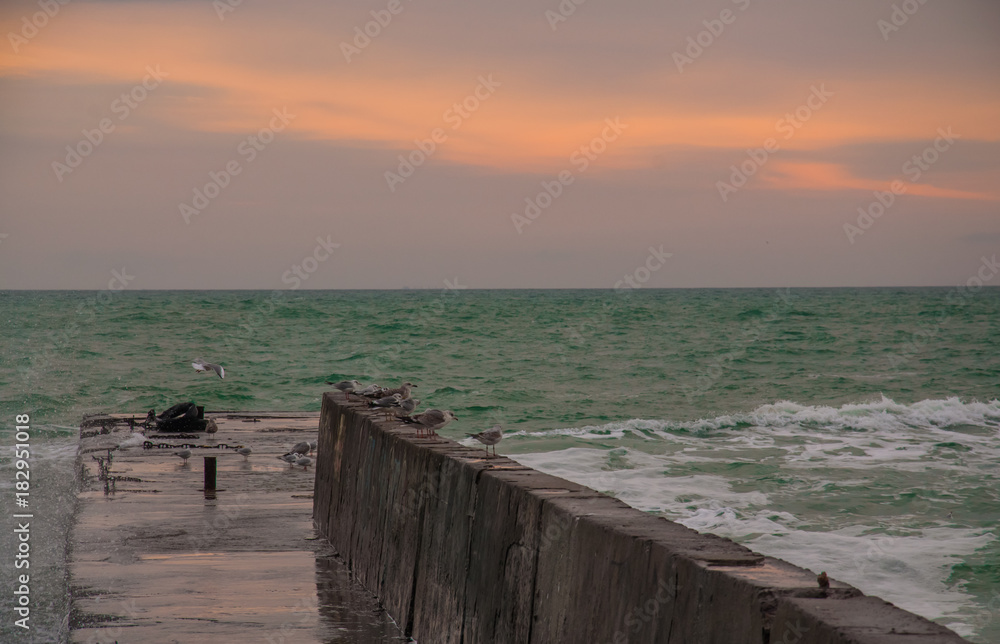 Gulls sitting on the broken pier with orange sky and green sea behind