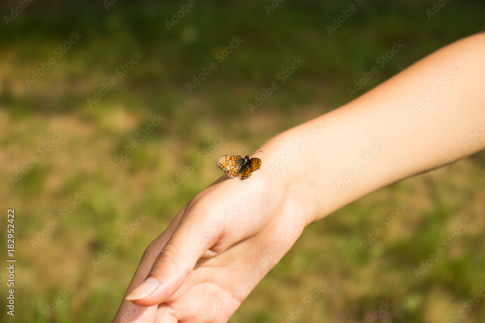A gentle girl's hand with a small defenseless butterfly.
