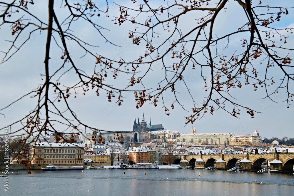 Winter scene of Prague castle, Charles bridge and Vltava river with branches from in the top of picture