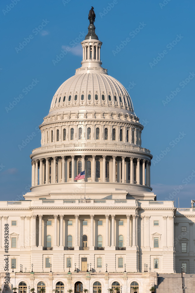 Obraz premium The United States Capitol building in Washington DC