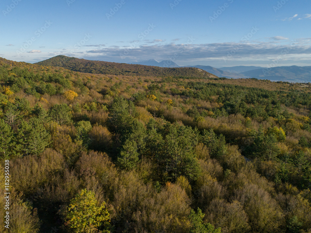 Drone view on the landscape and forest