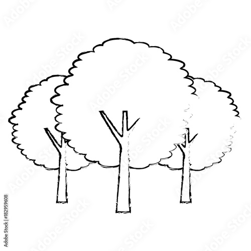 three tree plant botanical natural forest vector illustration