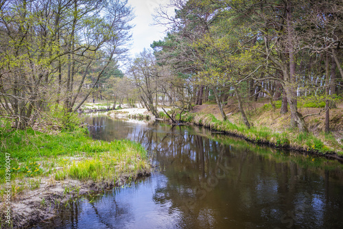 Small Piasnica River in Debki village on the Baltic Sea coast, Poland