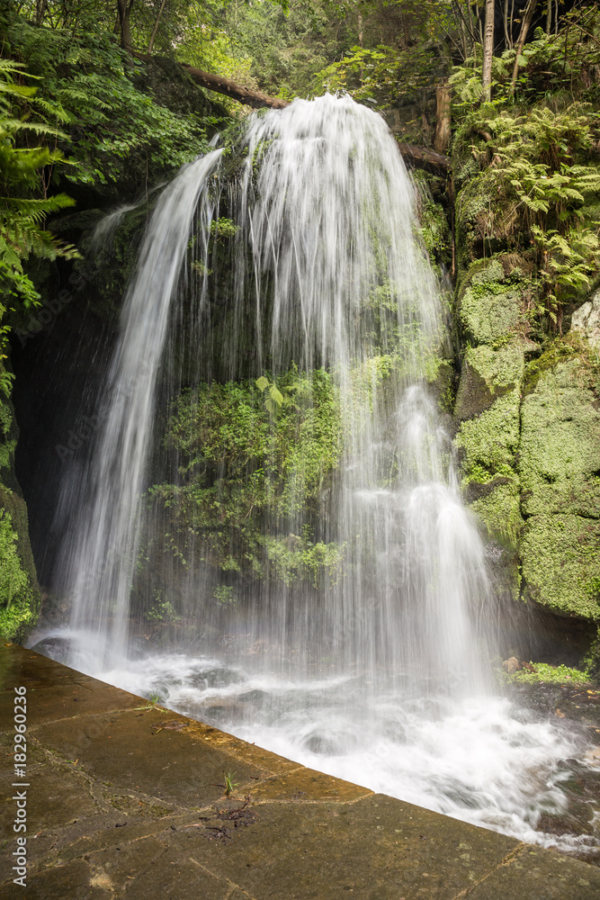 Obraz premium Am Amselfall in Sachsen