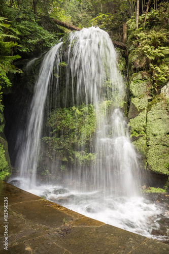 Am Amselfall in Sachsen