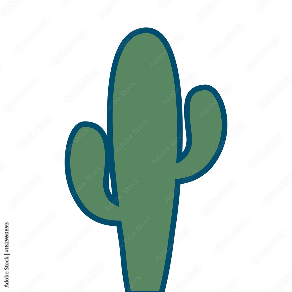 cactus plant desert succulent botanical vector illustration cactus plant desert succulent botanical vector illustration