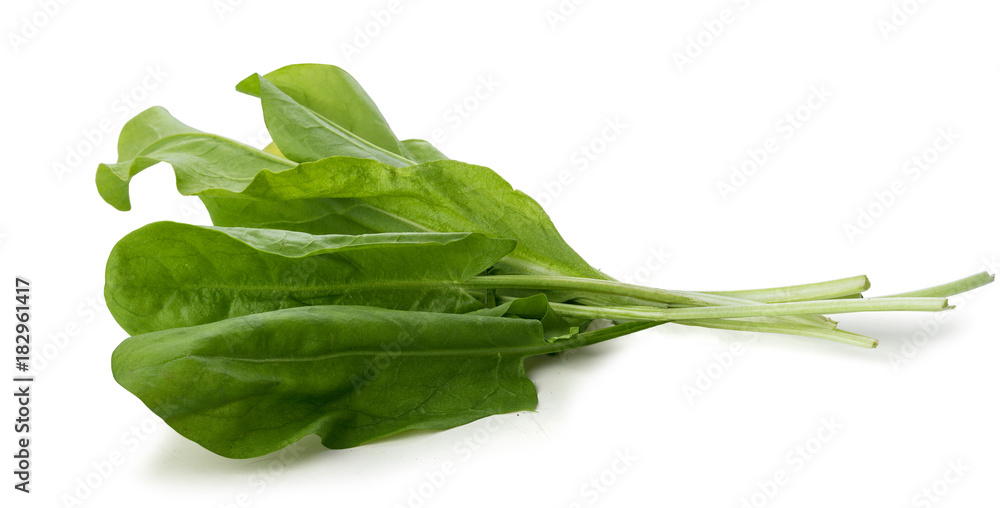 Fototapeta premium Bunch of sorrel