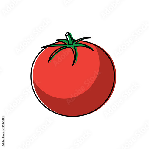tomato vegetable fresh health raw tasty vector illustration