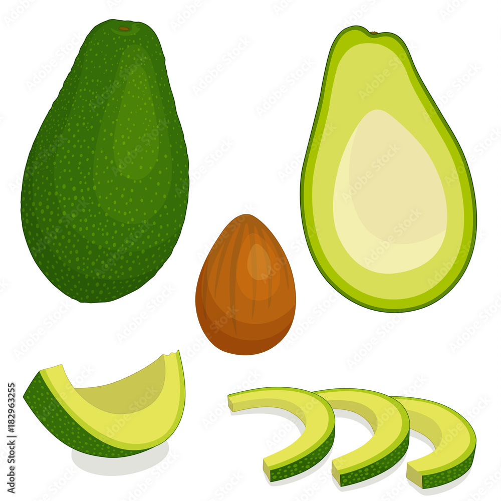 An avocado vector. Whole half and sliced fruit of avocado. Detailed Illustration in cartoon style. An avocado vector. Whole half and sliced fruit of avocado. Detailed Illustration in cartoon style.