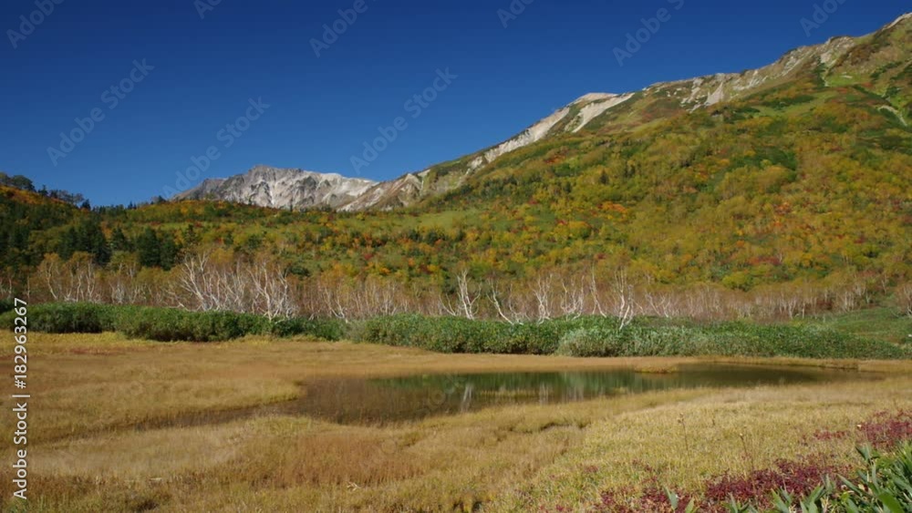 栂池自然園の紅葉 栂池自然園の紅葉