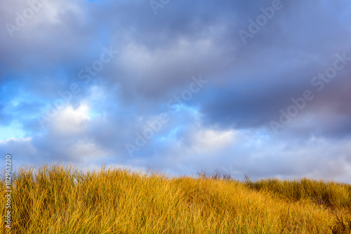 Natural rural background with grass under cloudy sky.